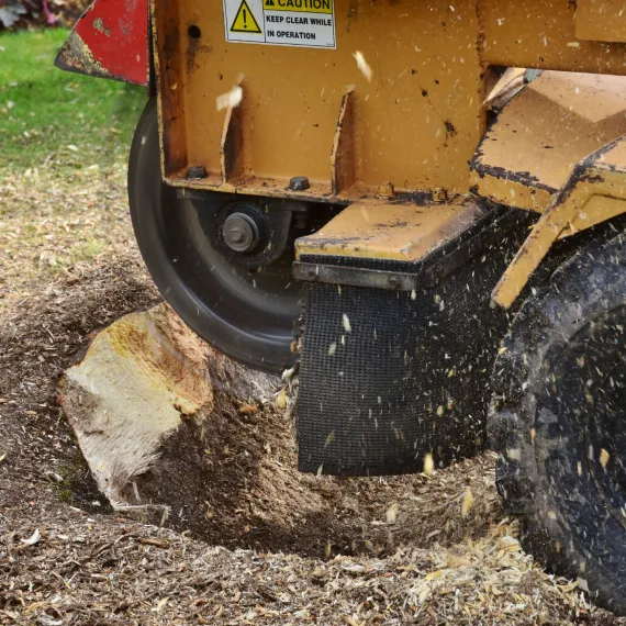 Stump Grinding